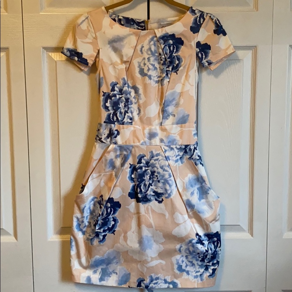 Flower Print Dress